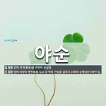 야순 뜻