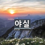 야실 뜻: -아 있을.