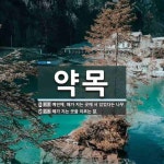 약목 뜻