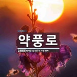 약풍로 뜻