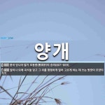 양개 뜻: 중국 당나라 말기 조동종(曹洞宗)의 승려(807~869)., 말이나 되에 곡식을 담고 그 [국어 사전] 양개 뜻: 중국 당나라 말기 조동종... 