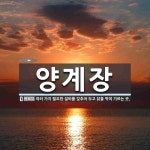 양계장 뜻: 여러 가지 필요한 설비를 갖추어 두고 닭을 먹여 기르는 곳.