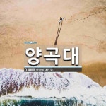 양곡대 뜻: 양곡에 대한 값.