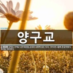 양구교 뜻: 강원도 인제군 상수내리의 소양강 상류에 있는 다리.... 길이는 양구교 뜻: 강원도 인제군 상수내리의 소양강 상류에 있는 다리.... 