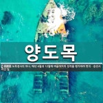 양도목 뜻: 도목정사의 하나. 매년 6월과 12월에 벼슬아치의 성적을 평가하여 면직ㆍ승진시키던 일.