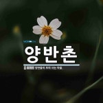 양반촌 뜻: 양반들이 모여 사는 마을.