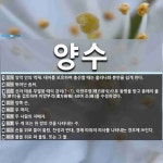 양수 뜻: 양막 안의 액체. 태아를 보호하며 출산할 때는 흘러나와 분만을 쉽게 한다., 뛰어난 솜씨. [국어 사전]