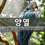 양열 뜻: 퇴비 등의 유기물이 미생물에 의해 분해될 때 발생하는 발효열. 발열 정도나 발열 경과는 탄