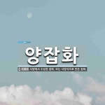 양잡화 뜻