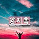 양지촉 뜻