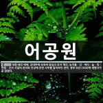 어공원 뜻