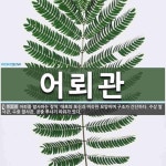 어뢰관 뜻: 어뢰를 발사하는 장치. 대포의 포신과 비슷한 모양이며 구조가 간단하다. 수상 발사관, 수중