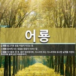 어룡 뜻: 물고기와 용을 아울러 이르는 말., 물속에 사는 동물을 통틀어... , 어기류의 한 [국어 사전] 어룡 뜻: 물고기와 용을 아울러 이르는 말.... 