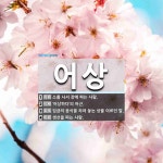 어상 뜻