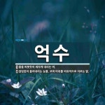 억수 뜻: 물을 퍼붓듯이 세차게 내리는 비., 끊임없이 흘러내리는 눈물, 코피 따위를 비유적으로 이르 [국어 사전]