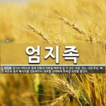 엄지족 뜻: 엄지손가락으로 휴대 전화의 자판을 빠르게 칠 수 있는 사람. 또는 그런 무리. 빠른 속도로