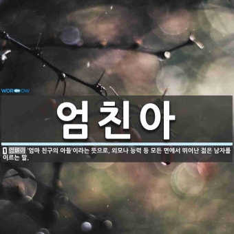 엄친아 뜻: ‘엄마 친구의 아들’이라는 뜻으로, 외모나 능력 등 모든 면에서 뛰어난 젊은 남자를 이르는