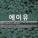 에이유 뜻: 태양계 내의 천체 사이의 거리를 나타내는 단위. 보통은 태양과 지구와의 평균 거리를 이른다 [국어 사전]