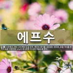 에이프러스수가요궁 | 에프수 뜻