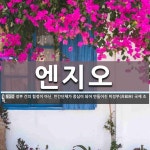 알지오이엔지 | 엔지오 뜻
