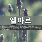 엘아르 뜻: 수화 음량의 크기로 통화의 양호함을 평가하는 전송 품질 측정 기준의 하나., 선체가 더럽혀 [국어 사전]