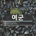 여군 뜻: ‘황후’를 달리 이르는 말., 첩(妾)이 ‘본처’를 이르는 말., 현역에 복무하고 있는 여 [국어 사전]