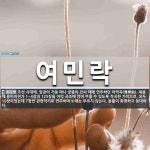 여민락 뜻: 조선 시대에, 임금의 거둥 때나 궁중의 잔치 때에 연주하던 아악곡(雅樂曲). 세종 때 용비
