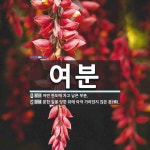 여분 뜻: 어떤 한도에 차고 남은 부분., 분한 일을 당한 뒤에 아직 가라앉지 않은 분(憤). [국어 사전]