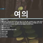여의 뜻: 여자 의사., 법회나 설법 때, 법사가 손에 드는 물건. 대, 나무, 뿔, 쇠 따위로 ‘심 [국어 사전]