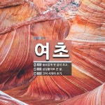 여초 뜻: 쓸모없게 된 글의 초고., 심심풀이로 쓴 글., 고려 시대의 초기. [국어 사전]