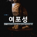 여포성 뜻: 어떤 염증이나 종양이 피부 또는 점막에 소포를 형성하는 성질.