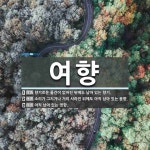 여향 뜻