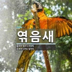 엮음새 뜻: 엮은 맵시나 모양새., 엮어 나가는 얼거리. [국어 사전]