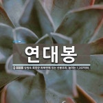 연대봉 뜻