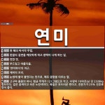 연미 뜻: 한 해의 마지막 무렵., 흰쌀의 겉면을 깨끗하게 하고 광택이 나게 하는 일., 연한 맛., [국어 사전]