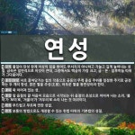 연성 뜻: 물질이 탄성 한계 이상의 힘을 받아도 부서지지 아니하고 가늘고 길게 늘어나는 성질. 금속은 [국어 사전]
