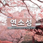 연소성 뜻: 물질이 산소와 화합하여 많은 빛과 열을 내는 성질.