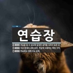연습장 뜻