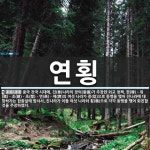 연횡 뜻