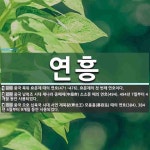 연흥 뜻: 중국 북위 효문제 때의 연호(471~476). 효문제의 첫 번째 연호이다., 중국 남북조 [국어 사전] 연흥 뜻: 중국 북위... 