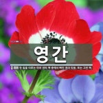 영간 뜻: 한 질을 이루는 여러 권의 책 중에서 빠진 권이 있음. 또는 그런 책.