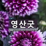 영산굿 뜻: 농악 십이채 가운데 현악 영산회상곡의 한 가락.