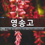 영송고 뜻