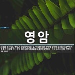 영암 뜻: 전라남도 영암군 동남쪽에 있는 읍. 비옥한 해안 평야에 접하여 농산물이 풍부하며 월출산 아