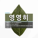 영영히 뜻: 물이 가득 차서 찰랑찰랑하게., 용모가 곱고 아름답게., 세력이나 이익 따위를 얻기 위하여 [국어 사전]