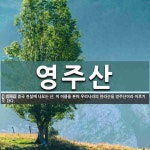 영주산 뜻: 중국 전설에 나오는 산. 이 이름을 본떠 우리나라의 한라산을 영주산이라 이르기도 한다.