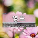 영포 뜻: 남의 손자를 높여 이르는 말., 영남 각지에서 생산하는 삼베. 안동 지방에서 만드는 안동포 [국어 사전]