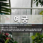 예궁 뜻: 향기로운 초목이 무성한 궁이라는 뜻으로, 궁전을 이르는 말., 도교에서, 신주를 모시는 집 [국어 사전]