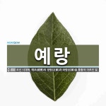 예랑 뜻: 조선 시대에, 예조(禮曹)의 정랑(正郞)과 좌랑(佐郞)을 통틀어 이르던 말.