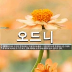 오드니크 | 오드니 뜻